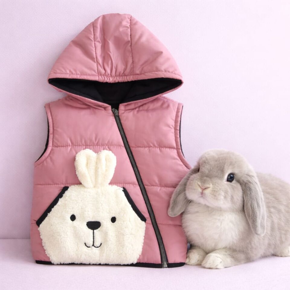 Tavşan Figürlü Kapüşonlu Unisex Çocuk Şişme Yelek