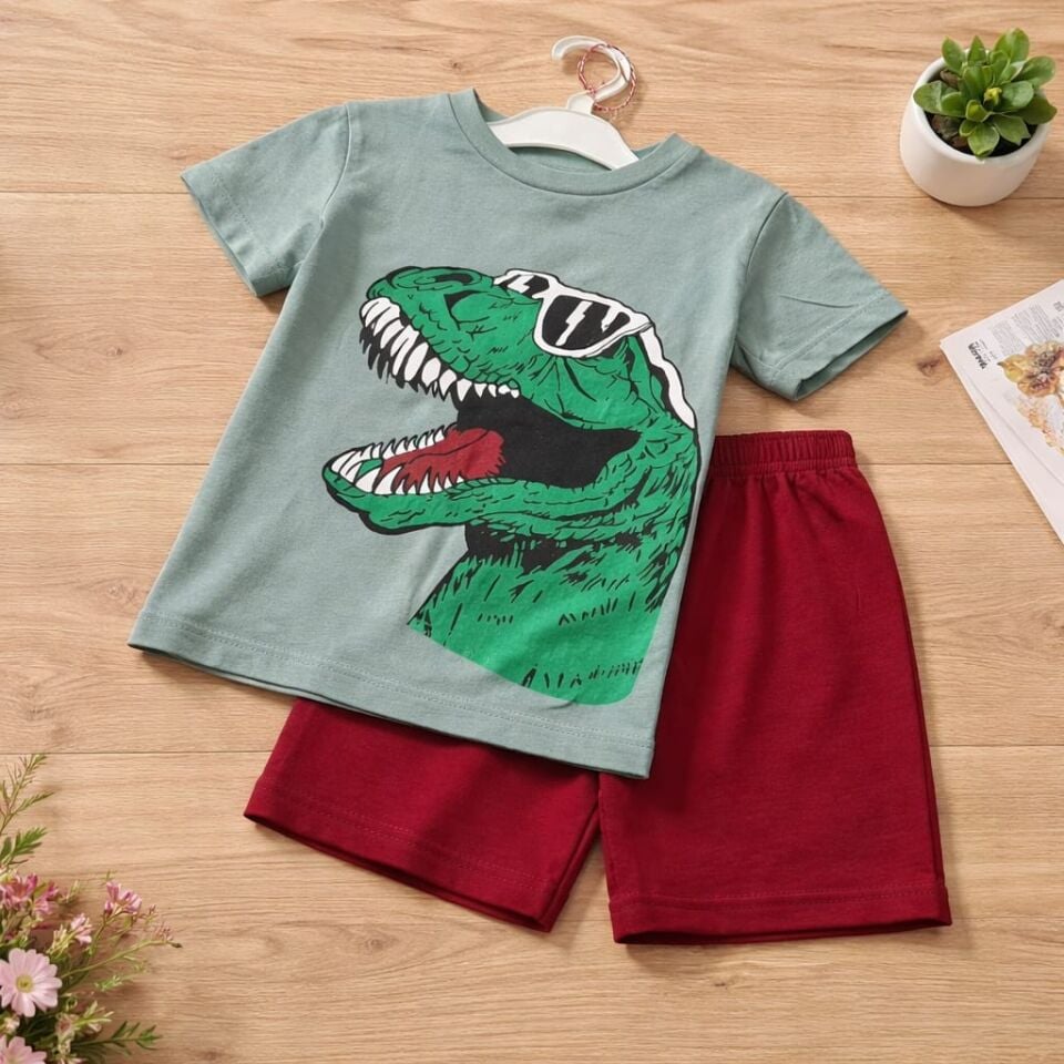 Erkek Çocuk Dinozor Baskılı Tişört & Şort Takım