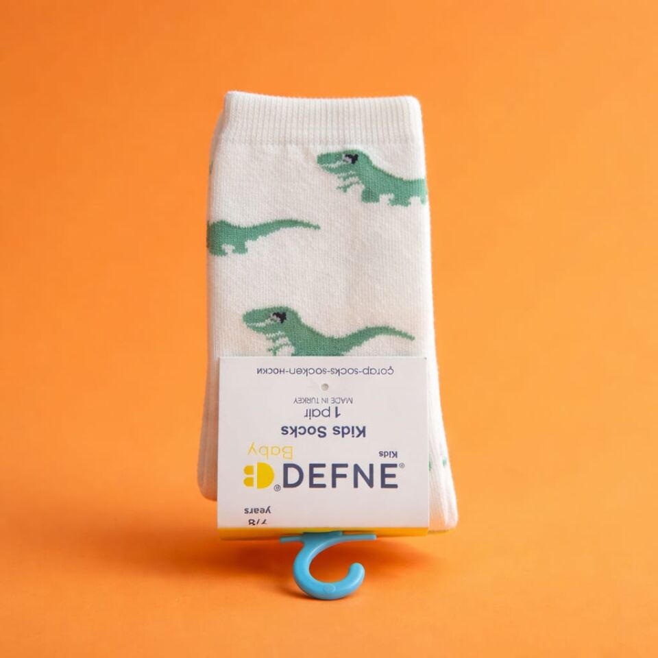 Erkek Çocuk Dinozor Motifli Çorap 4’lü Set