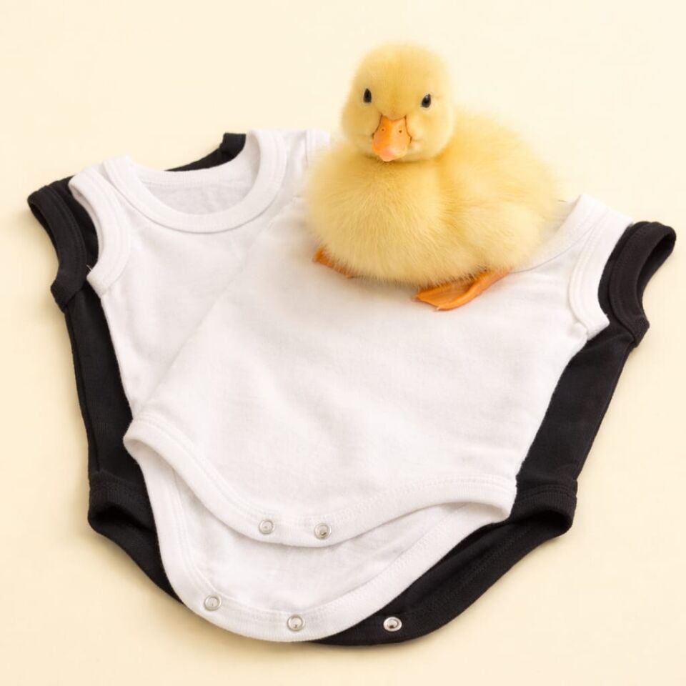 %100 Pamuk Üretim Unisex Çıtçıtlı Askılı Badi Seti – 3 Farklı Kombin Seçeneği