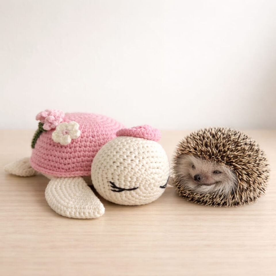 El Yapımı Özel Tasarım Amigurumi Uyku Kaplumbağa